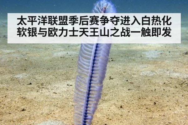 太平洋联盟季后赛争夺进入白热化 软银与欧力士天王山之战一触即发